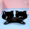 Double Pet Bowls With Raised Stand